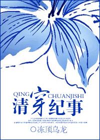 Qing Dynasty Chronicle