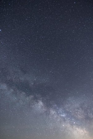 Veneer AK non-press gun