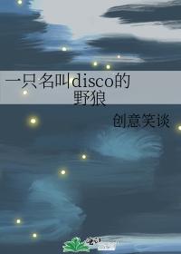 a wild wolf named disco